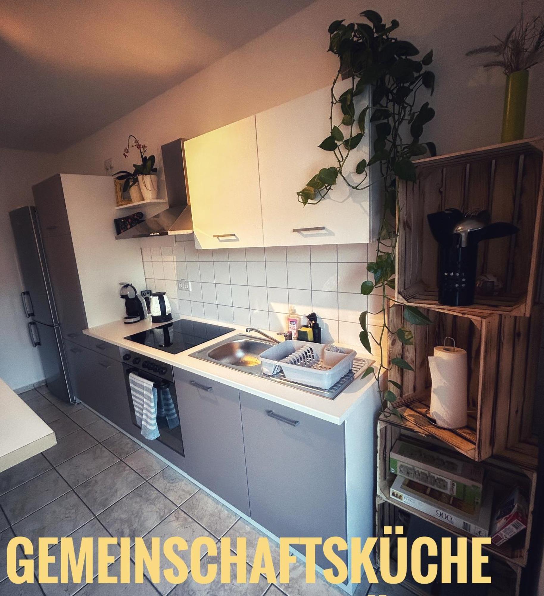 Quartier 3punkt0 Alte Steigerbaude * Bad Gottleuba-Berggiesshuebel