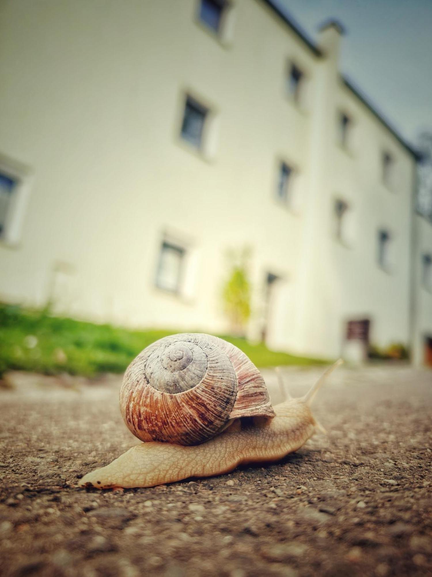 Quartier 3punkt0 Alte Steigerbaude Bad Gottleuba